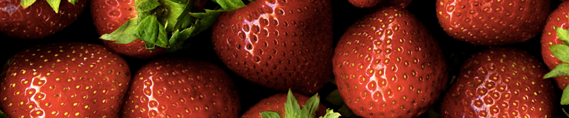 Productores y distribuidores de fresas
